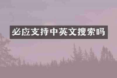 必应支持中英文搜索吗