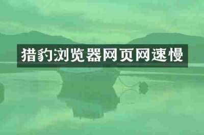 猎豹浏览器网页网速慢