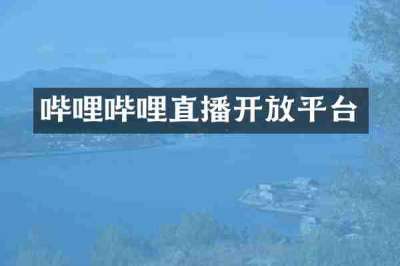哔哩哔哩直播开放平台