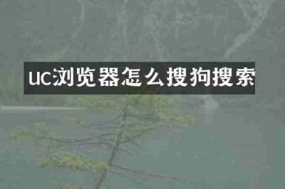 uc浏览器怎么搜狗搜索