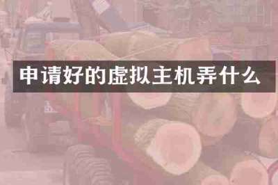 申请好的虚拟主机弄什么