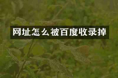 网址怎么被百度收录掉