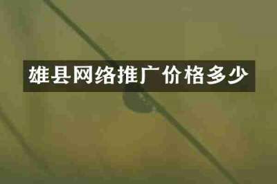 雄县网络推广价格多少