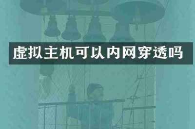 虚拟主机可以内网穿透吗