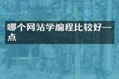 哪个网站学编程比较好一点