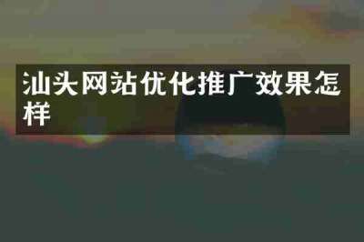 汕头网站优化推广效果怎样