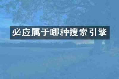 必应属于哪种搜索引擎