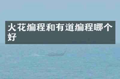 火花编程和有道编程哪个好