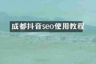 成都抖音seo使用教程