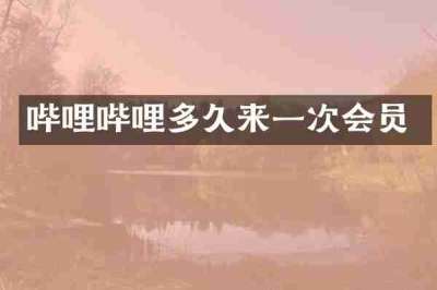 哔哩哔哩多久来一次会员