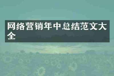 网络营销年中总结范文大全