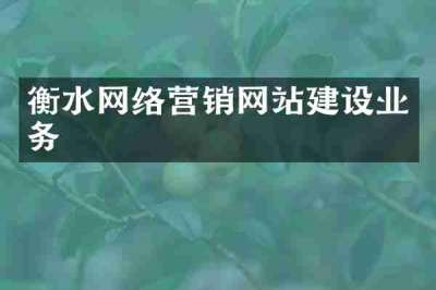 衡水网络营销网站建设业务
