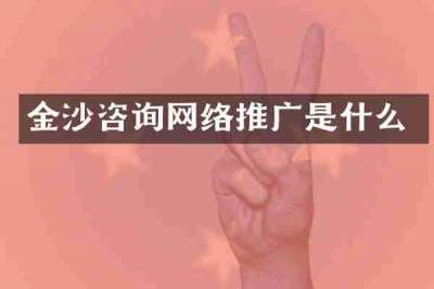 金沙咨询网络推广是什么