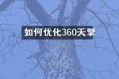 如何优化360天擎