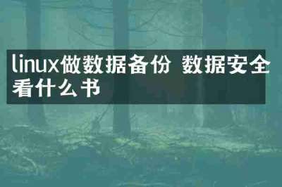 linux做数据备份 数据安全看什么书