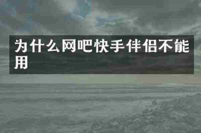 为什么网吧快手伴侣不能用