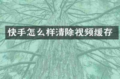 快手怎么样清除视频缓存