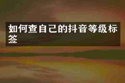 如何查自己的抖音等级标签