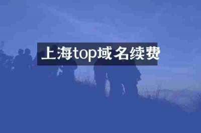 上海top域名续费