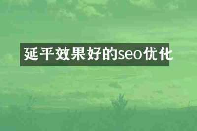 延平效果好的seo优化