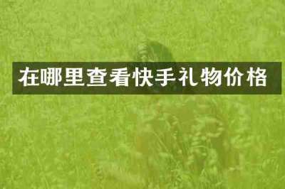 在哪里查看快手礼物价格