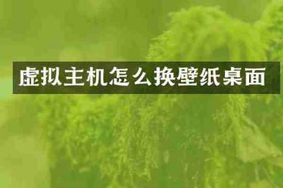 虚拟主机怎么换壁纸桌面