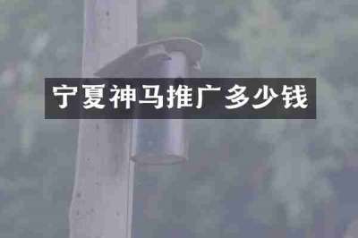 宁夏神马推广多少钱
