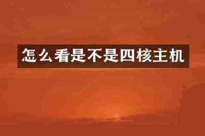 怎么看是不是四核主机
