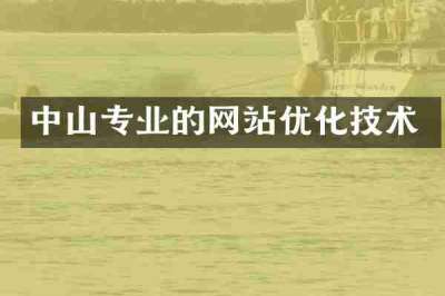 中山专业的网站优化技术