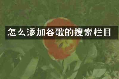 怎么添加谷歌的搜索栏目