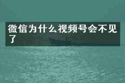 微信为什么视频号会不见了