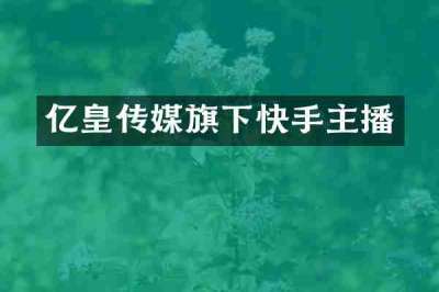 亿皇传媒旗下快手主播