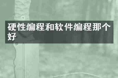 硬性编程和软件编程那个好