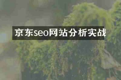京东seo网站分析实战