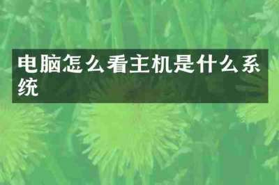 电脑怎么看主机是什么系统