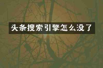 头条搜索引擎怎么没了