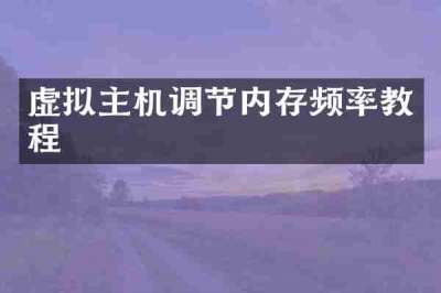 虚拟主机调节内存频率教程
