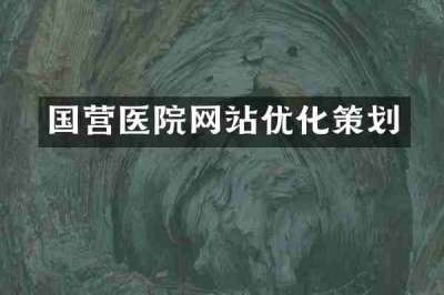 国营医院网站优化策划
