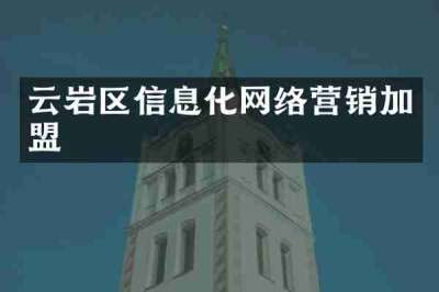 云岩区信息化网络营销加盟