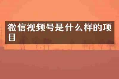 微信视频号是什么样的项目