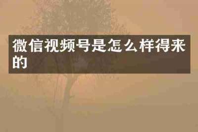 微信视频号是怎么样得来的