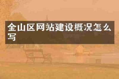 金山区网站建设概况怎么写