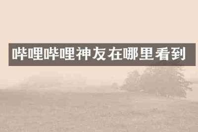 哔哩哔哩神友在哪里看到