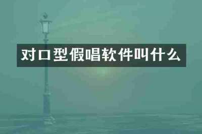 对口型假唱软件叫什么
