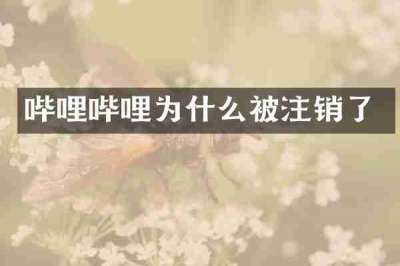 哔哩哔哩为什么被注销了
