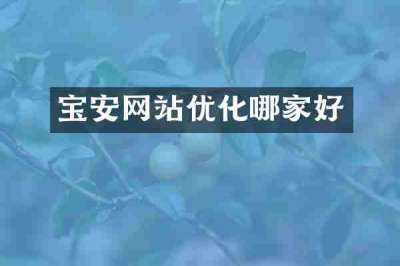 宝安网站优化哪家好