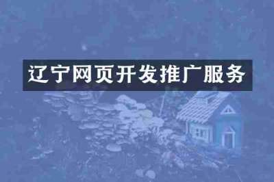 辽宁网页开发推广服务