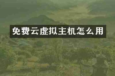 免费云虚拟主机怎么用