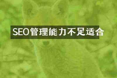 SEO管理能力不足适合