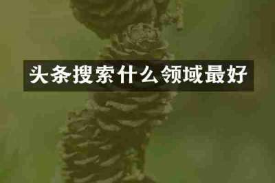 头条搜索什么领域最好